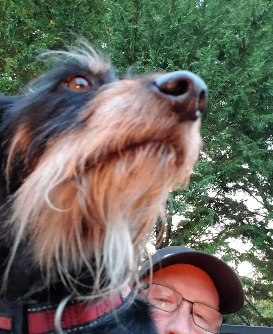A dog photobombing a selfie